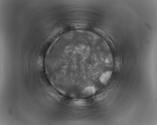 X0000112010667200908241456