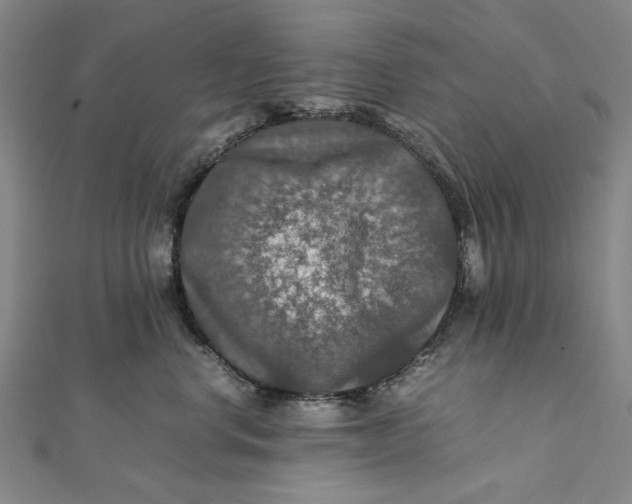 X0000112010668200908241456