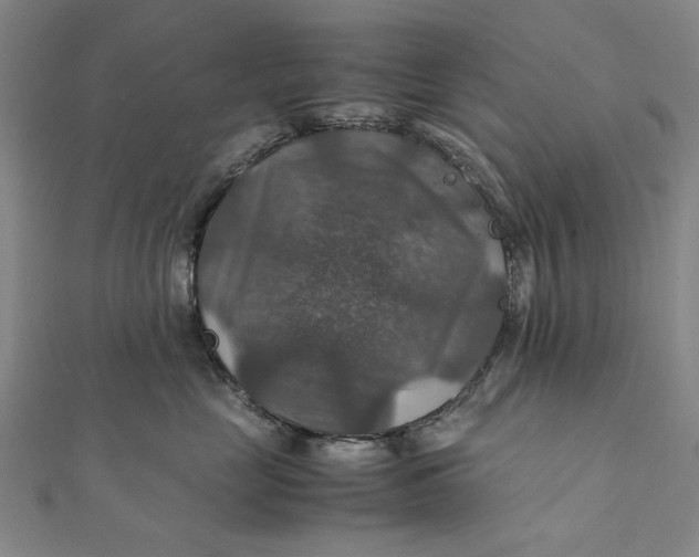 X0000112010669200908241456