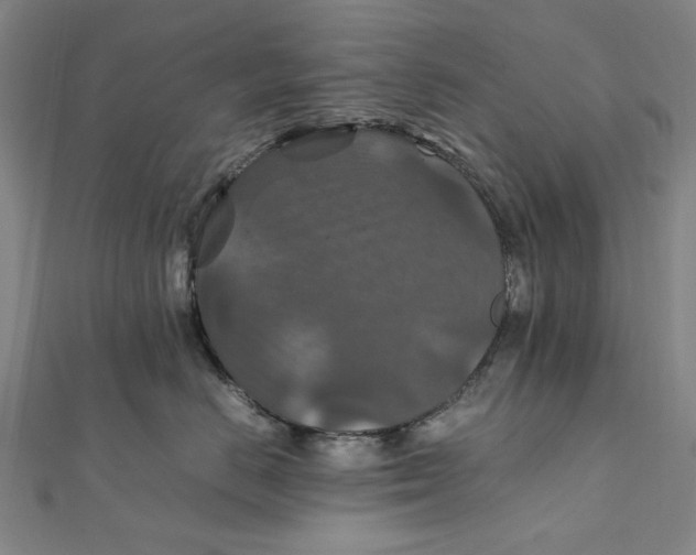 X0000112010670200908241456