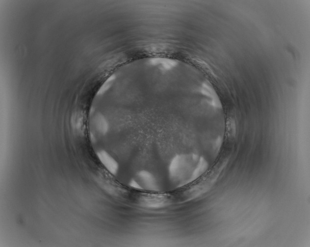 X0000112010671200908241456