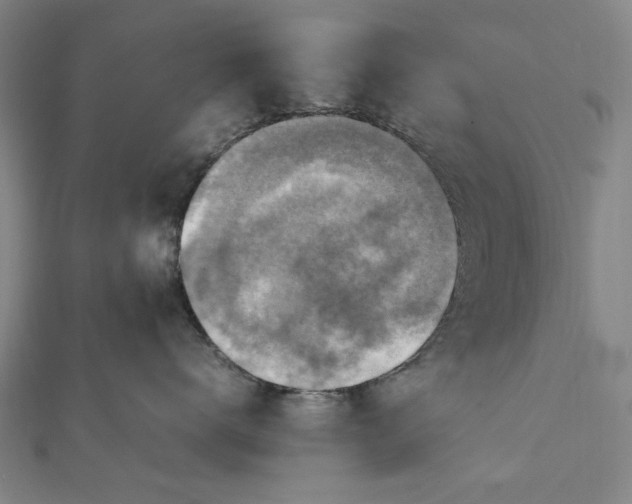 X0000112010672200908241456