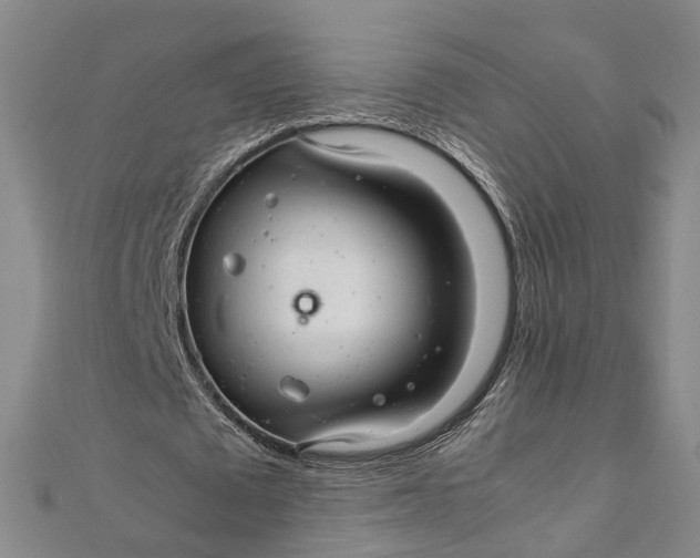 X0000112010673200908241455