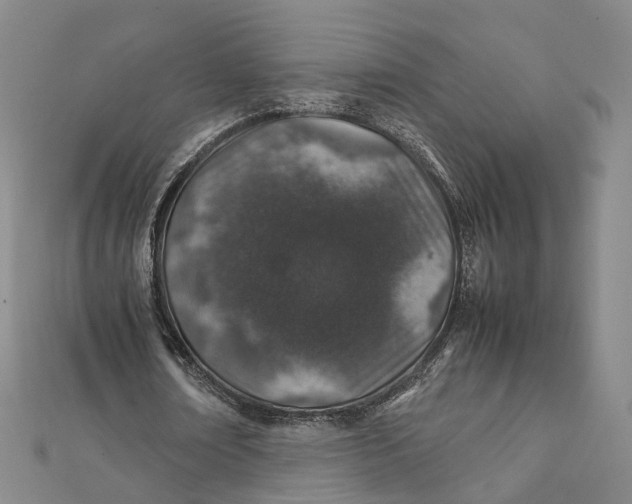 X0000112010674200908241455