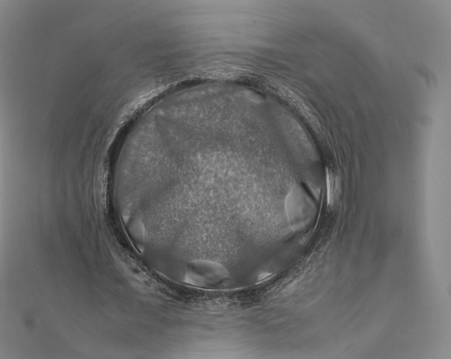 X0000112010675200908241455