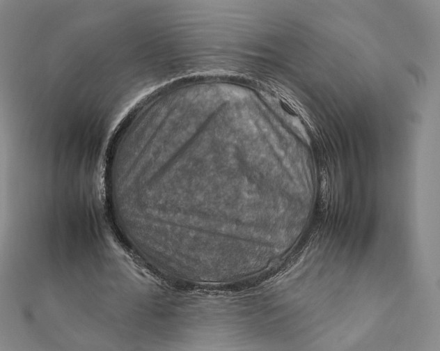 X0000112010676200908241455