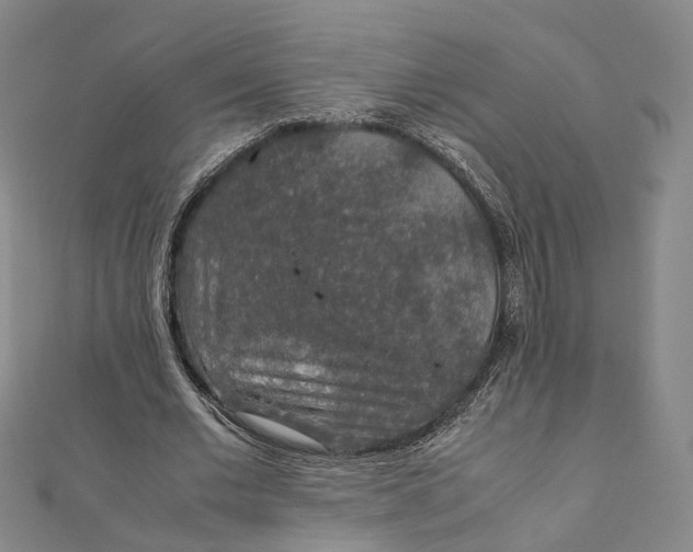 X0000112010677200908241455