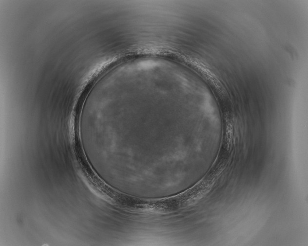 X0000112010678200908241455