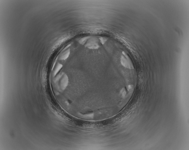 X0000112010679200908241455