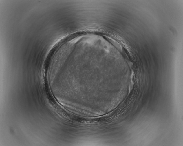 X0000112010680200908241455