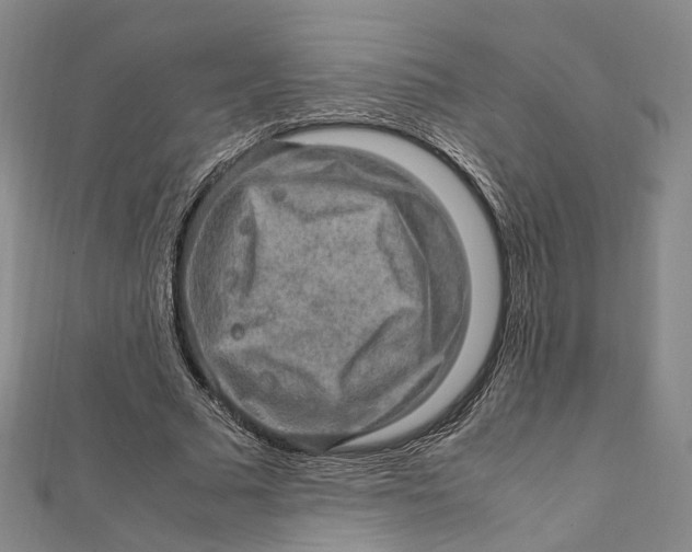 X0000112010681200908241455