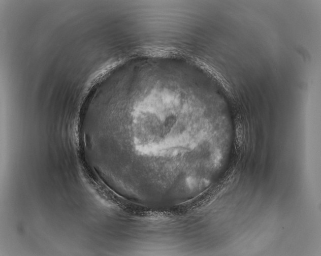 X0000112010682200908241455