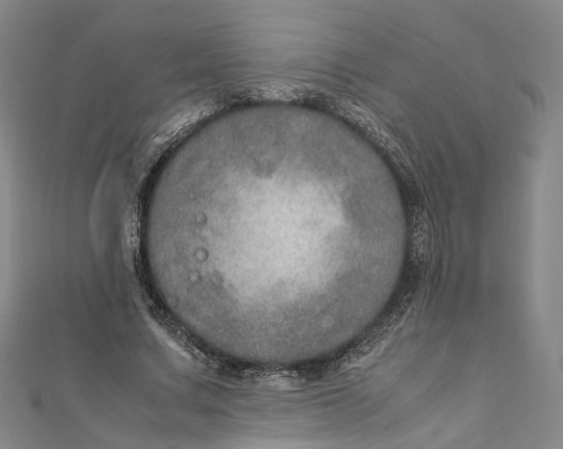 X0000112010683200908241455