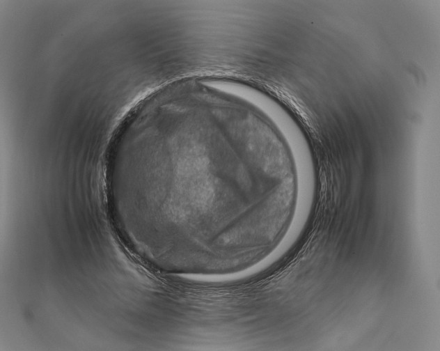 X0000112010684200908241455