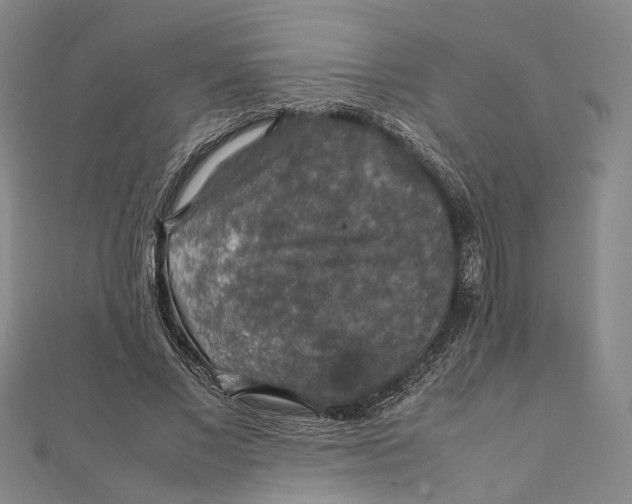 X0000112010685200908241455