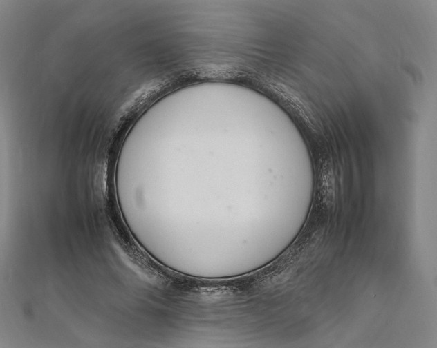 X0000112010686200908241455