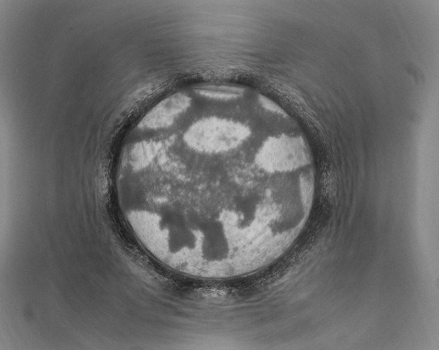 X0000112010687200908241455