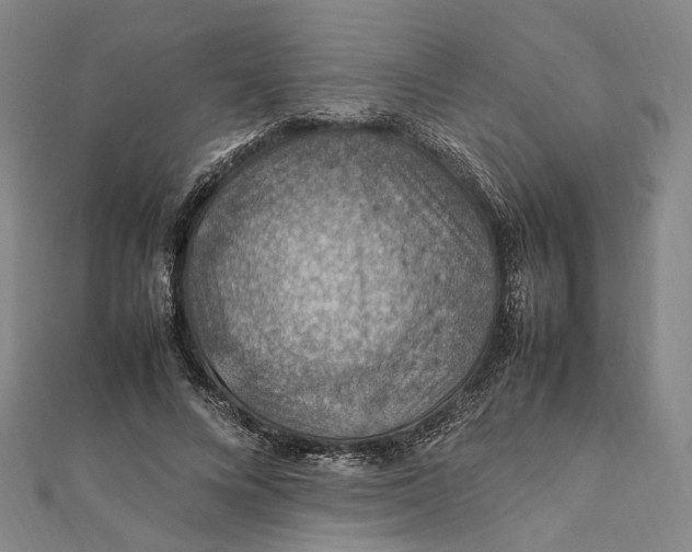 X0000112010688200908241455