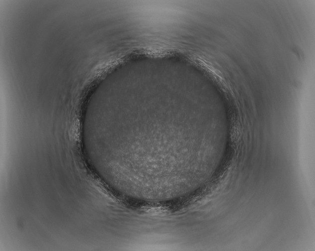 X0000112010689200908241455