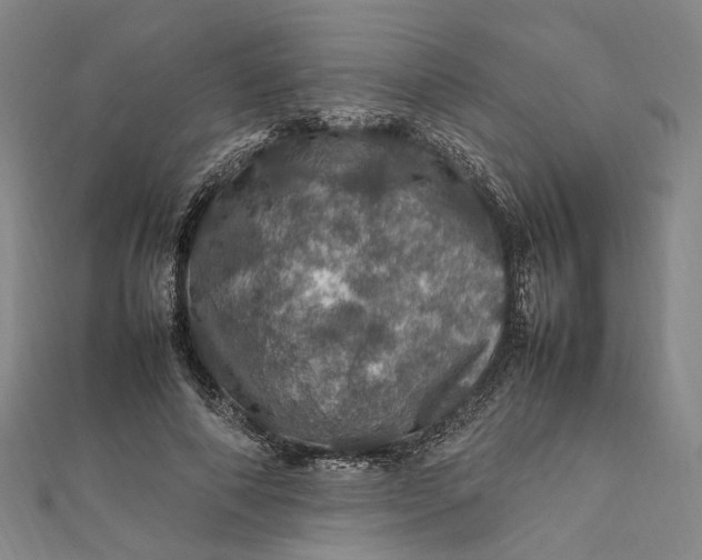 X0000112010690200908241455