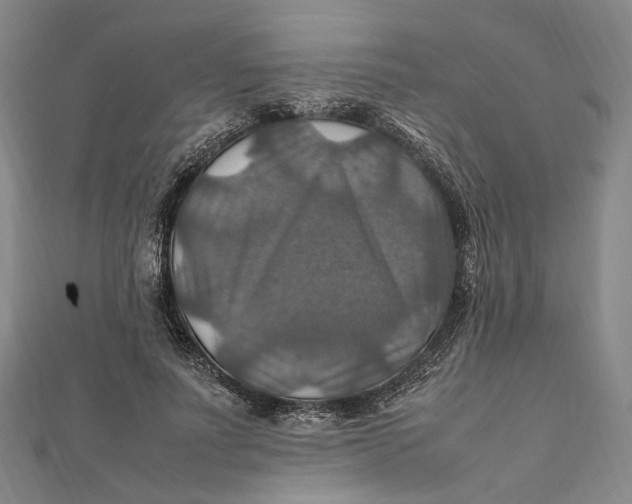 X0000112010691200908241455