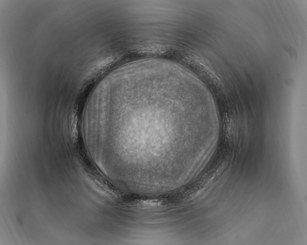 X0000112010692200908241455