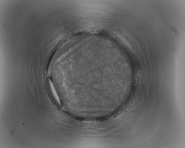 X0000112010693200908241455