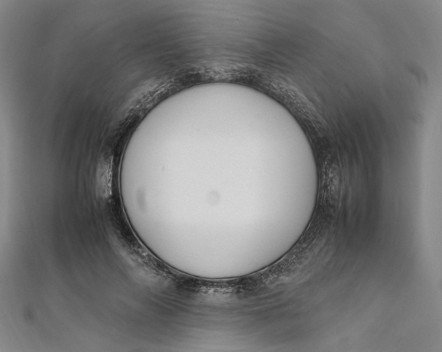 X0000112010694200908241455