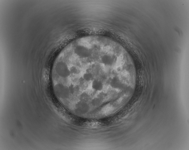 X0000112010695200908241455