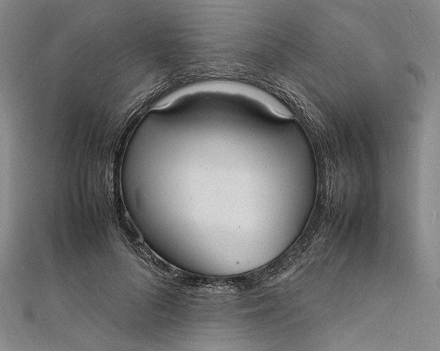 X0000112010696200908241455