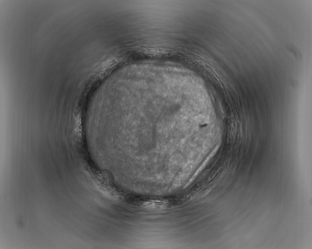 X0000112010700200908241455