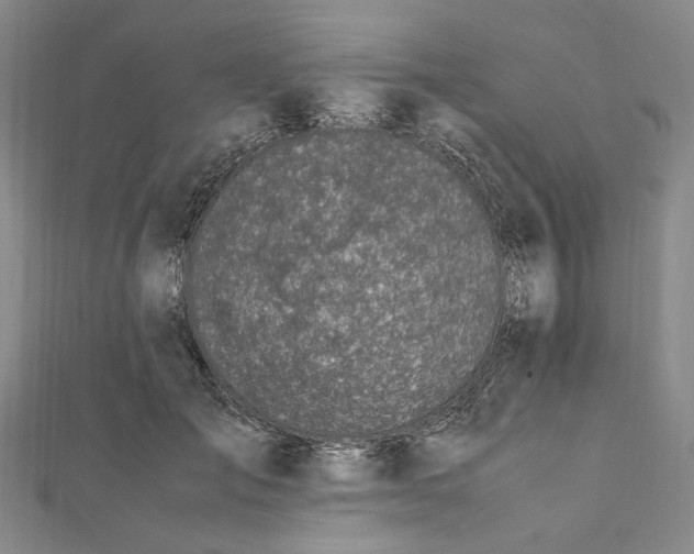 X0000112010701200908241455