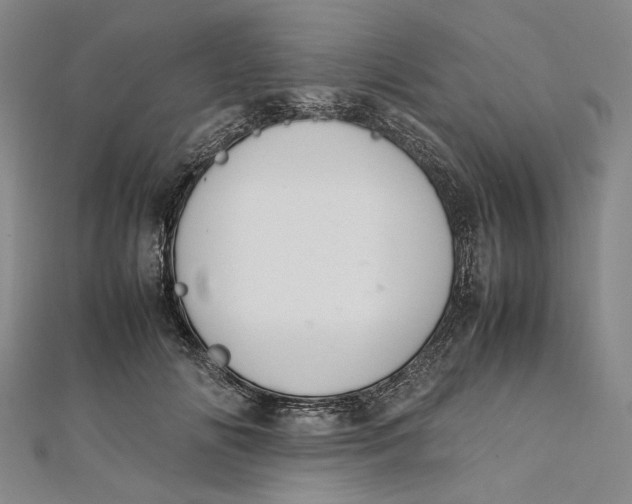 X0000112010702200908241455