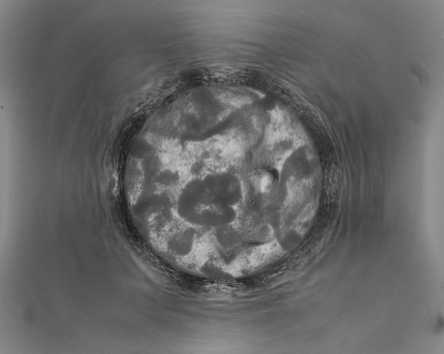 X0000112010703200908241455