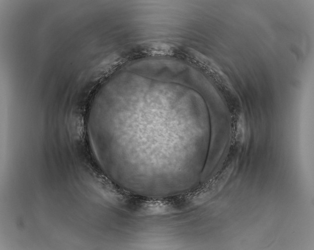 X0000112010704200908241455