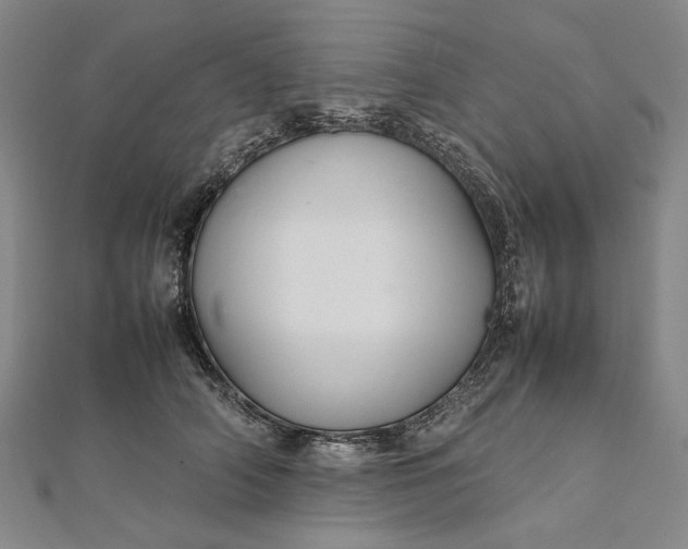 X0000112010706200908241455