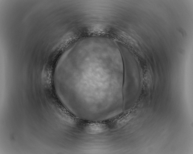 X0000112010708200908241455