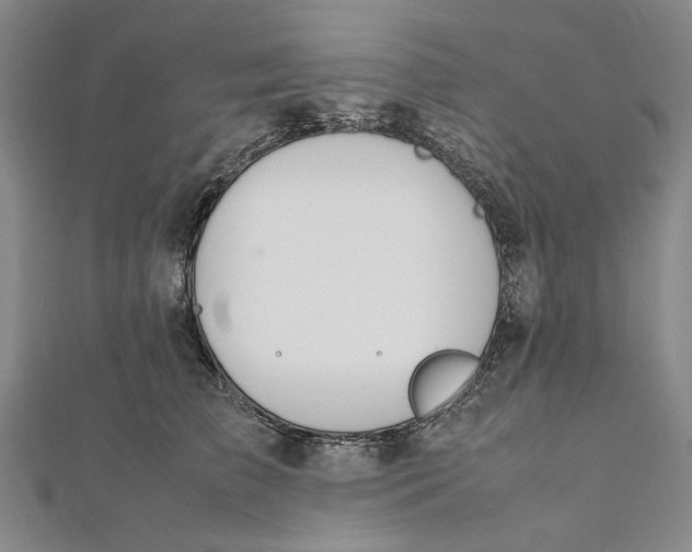 X0000112010709200908241455