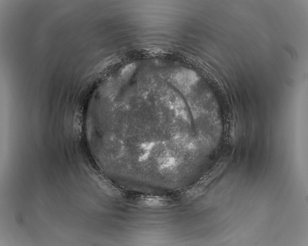 X0000112010710200908241455