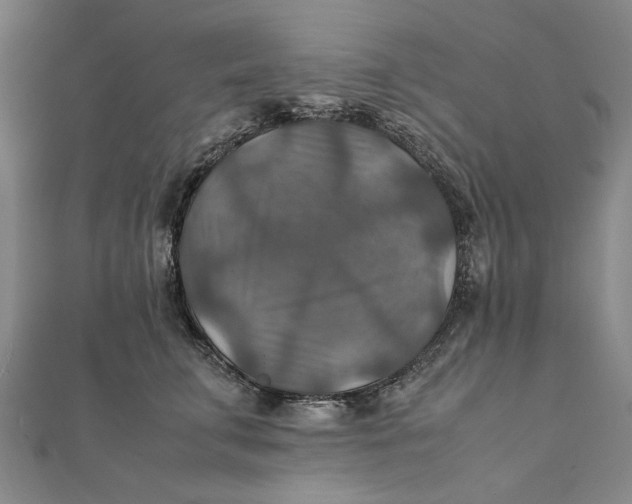 X0000112010711200908241455