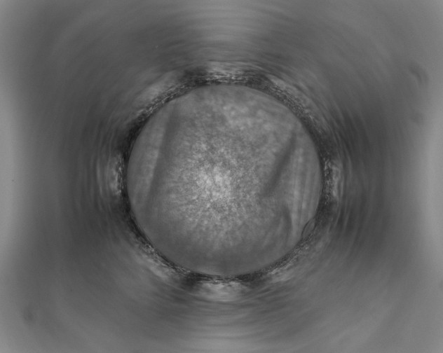 X0000112010712200908241455