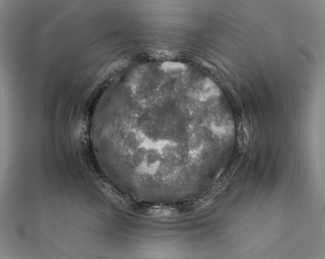 X0000112010714200908241455