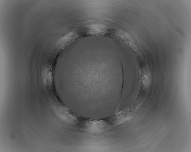 X0000112010716200908241455