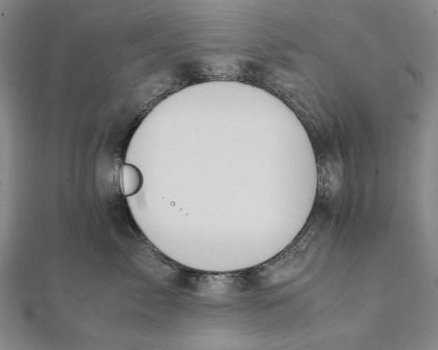 X0000112010717200908241455