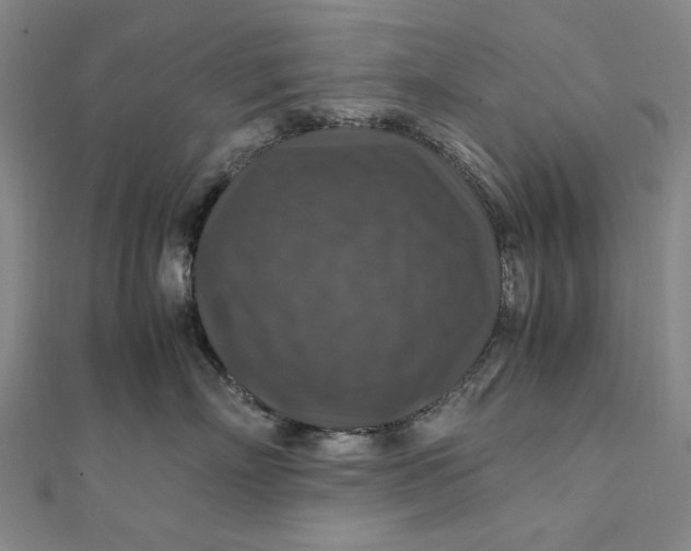 X0000112010718200908241455