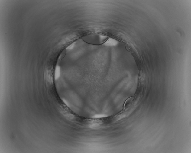 X0000112010719200908241455