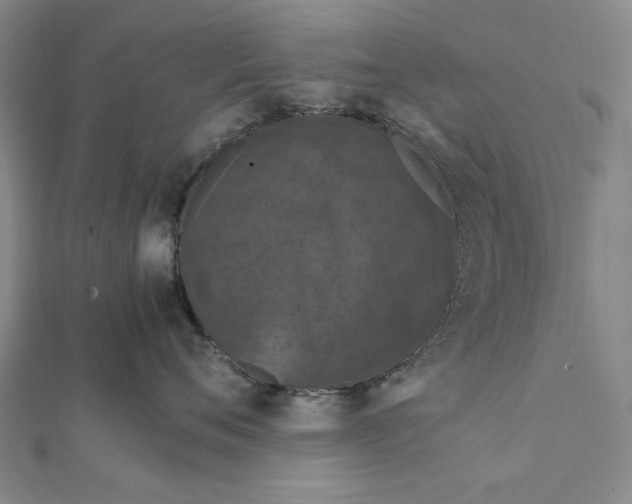 X0000112010720200908241454