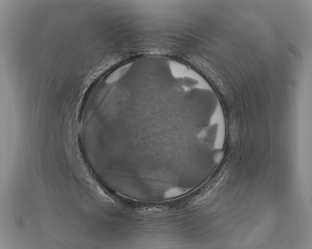 X0000112010721200908241454