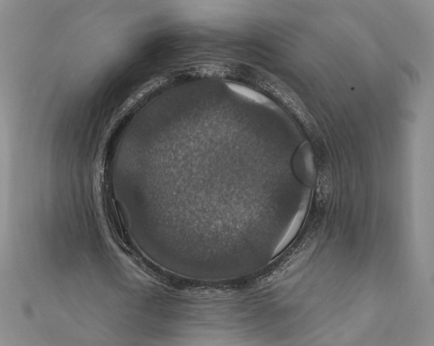 X0000112010722200908241454