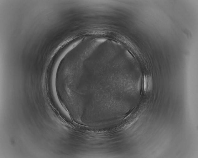 X0000112010723200908241454